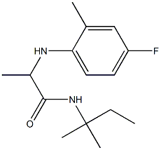 2-[(4-fluoro-2-methylphenyl)amino]-N-(2-methylbutan-2-yl)propanamide Structure