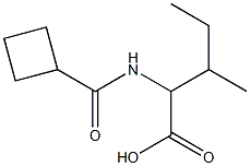 2-[(cyclobutylcarbonyl)amino]-3-methylpentanoic acid Structure