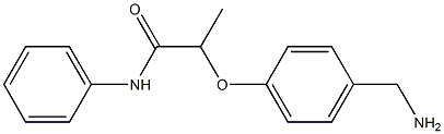 2-[4-(aminomethyl)phenoxy]-N-phenylpropanamide Structure