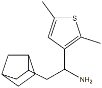 2-{bicyclo[2.2.1]heptan-2-yl}-1-(2,5-dimethylthiophen-3-yl)ethan-1-amine Structure
