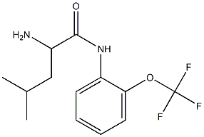 2-amino-4-methyl-N-[2-(trifluoromethoxy)phenyl]pentanamide 구조식 이미지