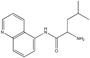 2-amino-4-methyl-N-quinolin-5-ylpentanamide Structure