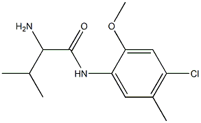 2-amino-N-(4-chloro-2-methoxy-5-methylphenyl)-3-methylbutanamide 구조식 이미지