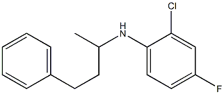 2-chloro-4-fluoro-N-(4-phenylbutan-2-yl)aniline 구조식 이미지