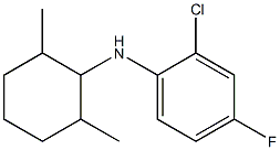 2-chloro-N-(2,6-dimethylcyclohexyl)-4-fluoroaniline 구조식 이미지