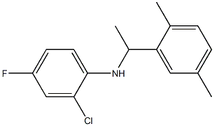 2-chloro-N-[1-(2,5-dimethylphenyl)ethyl]-4-fluoroaniline Structure