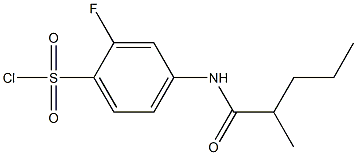 2-fluoro-4-(2-methylpentanamido)benzene-1-sulfonyl chloride Structure