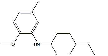 2-methoxy-5-methyl-N-(4-propylcyclohexyl)aniline Structure