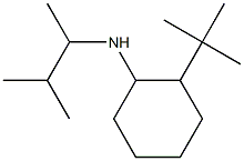 2-tert-butyl-N-(3-methylbutan-2-yl)cyclohexan-1-amine Structure