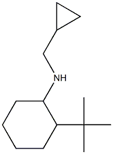 2-tert-butyl-N-(cyclopropylmethyl)cyclohexan-1-amine Structure