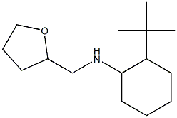 2-tert-butyl-N-(oxolan-2-ylmethyl)cyclohexan-1-amine 구조식 이미지