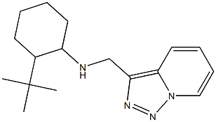 2-tert-butyl-N-{[1,2,4]triazolo[3,4-a]pyridin-3-ylmethyl}cyclohexan-1-amine Structure