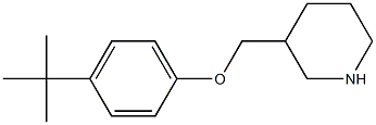 3-(4-tert-butylphenoxymethyl)piperidine 구조식 이미지