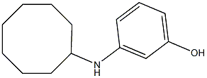 3-(cyclooctylamino)phenol 구조식 이미지