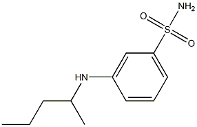 3-(pentan-2-ylamino)benzene-1-sulfonamide Structure