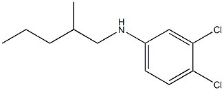 3,4-dichloro-N-(2-methylpentyl)aniline 구조식 이미지