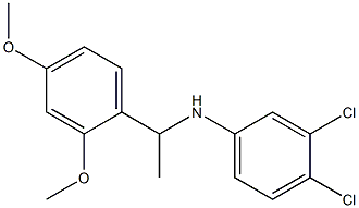 3,4-dichloro-N-[1-(2,4-dimethoxyphenyl)ethyl]aniline 구조식 이미지