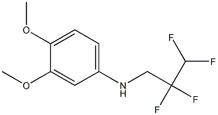 3,4-dimethoxy-N-(2,2,3,3-tetrafluoropropyl)aniline 구조식 이미지