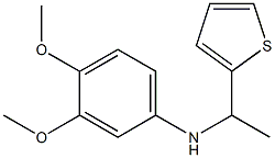 3,4-dimethoxy-N-[1-(thiophen-2-yl)ethyl]aniline Structure