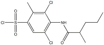 3,5-dichloro-2-methyl-4-(2-methylpentanamido)benzene-1-sulfonyl chloride 구조식 이미지