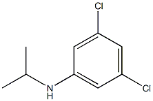 3,5-dichloro-N-(propan-2-yl)aniline 구조식 이미지