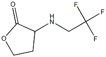 3-[(2,2,2-trifluoroethyl)amino]oxolan-2-one Structure