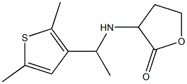 3-{[1-(2,5-dimethylthiophen-3-yl)ethyl]amino}oxolan-2-one 구조식 이미지