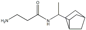 3-amino-N-(1-{bicyclo[2.2.1]heptan-2-yl}ethyl)propanamide 구조식 이미지
