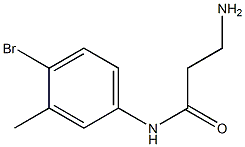 3-amino-N-(4-bromo-3-methylphenyl)propanamide 구조식 이미지