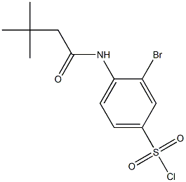 3-bromo-4-(3,3-dimethylbutanamido)benzene-1-sulfonyl chloride Structure