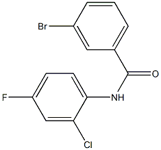 3-bromo-N-(2-chloro-4-fluorophenyl)benzamide Structure