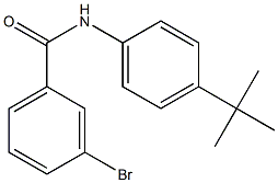 3-bromo-N-(4-tert-butylphenyl)benzamide 구조식 이미지