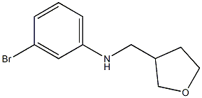 3-bromo-N-(oxolan-3-ylmethyl)aniline 구조식 이미지