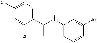 3-bromo-N-[1-(2,4-dichlorophenyl)ethyl]aniline Structure