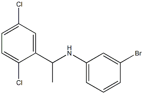 3-bromo-N-[1-(2,5-dichlorophenyl)ethyl]aniline Structure