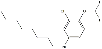 3-chloro-4-(difluoromethoxy)-N-octylaniline Structure
