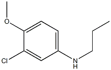 3-chloro-4-methoxy-N-propylaniline 구조식 이미지