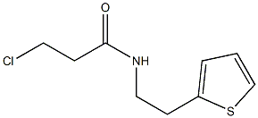 3-chloro-N-(2-thien-2-ylethyl)propanamide 구조식 이미지