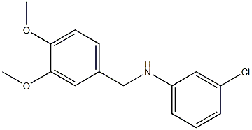 3-chloro-N-[(3,4-dimethoxyphenyl)methyl]aniline Structure