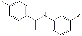 3-chloro-N-[1-(2,4-dimethylphenyl)ethyl]aniline 구조식 이미지