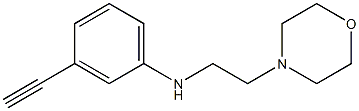 3-ethynyl-N-[2-(morpholin-4-yl)ethyl]aniline Structure