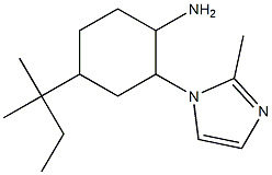 4-(1,1-dimethylpropyl)-2-(2-methyl-1H-imidazol-1-yl)cyclohexanamine Structure