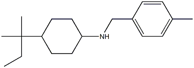 4-(2-methylbutan-2-yl)-N-[(4-methylphenyl)methyl]cyclohexan-1-amine Structure