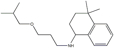 4,4-dimethyl-N-[3-(2-methylpropoxy)propyl]-1,2,3,4-tetrahydronaphthalen-1-amine 구조식 이미지