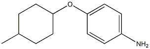 4-[(4-methylcyclohexyl)oxy]aniline Structure