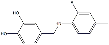 4-{[(2-fluoro-4-methylphenyl)amino]methyl}benzene-1,2-diol 구조식 이미지