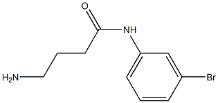 4-amino-N-(3-bromophenyl)butanamide 구조식 이미지