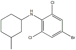 4-bromo-2,6-dichloro-N-(3-methylcyclohexyl)aniline 구조식 이미지