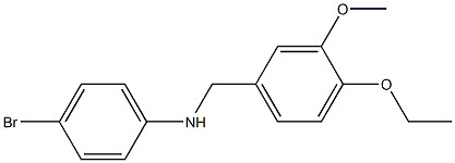 4-bromo-N-[(4-ethoxy-3-methoxyphenyl)methyl]aniline 구조식 이미지