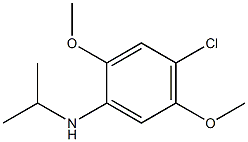 4-chloro-2,5-dimethoxy-N-(propan-2-yl)aniline Structure